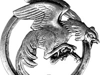 P124-2 > Insigne du Bataillon de Joinville. Béret ou pendentif sur vareuse.
