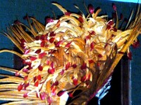 P1070513