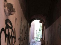 B.J. - Lyon 2016 - P.C. - 14 : BJ