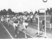 Bernard, Darchicourt