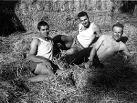 Delaune, Vernus, Allès en plein boulot.
